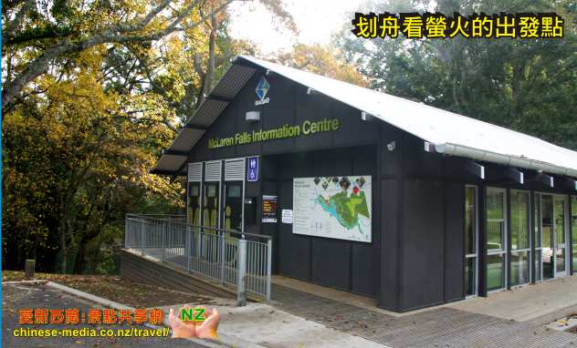 Tauranga 陶朗加 McLaren Falls Park 瀑布公園 Lake McLaren 麥凱倫湖 Waka Experience 螢光 glow worms