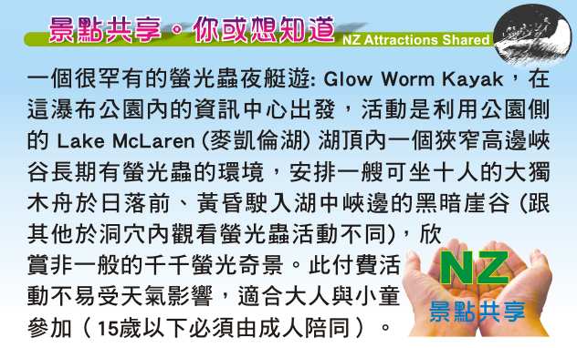 Tauranga 陶朗加 McLaren Falls Park 瀑布公園 Lake McLaren 麥凱倫湖 Waka Experience 螢光 glow worms