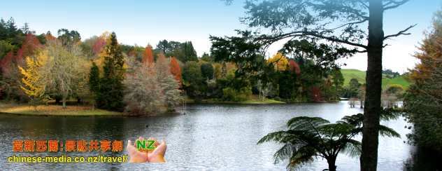 Tauranga 陶朗加 McLaren Falls Park 瀑布公園 Lake McLaren 麥凱倫湖 Waka Experience 螢光 glow worms