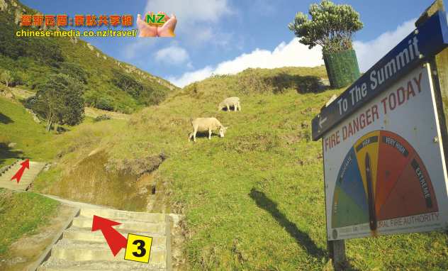 Tauranga 陶朗加 Mt Maunganui Beach 沙灘 Pilot Bay Beach