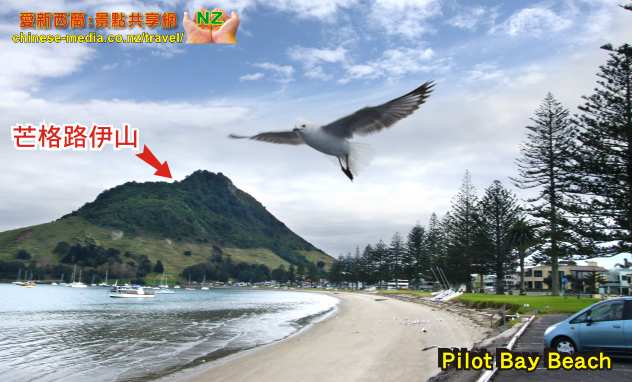 Tauranga 陶朗加 Mt Maunganui Beach 沙灘 Pilot Bay Beach