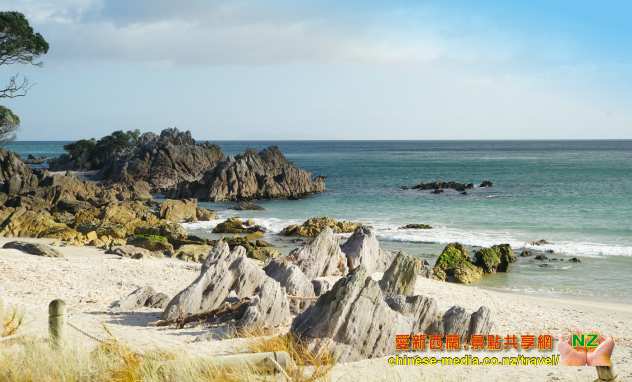 Tauranga 陶朗加 Mt Maunganui Beach 新西蘭最佳海灘 Moturiki Island