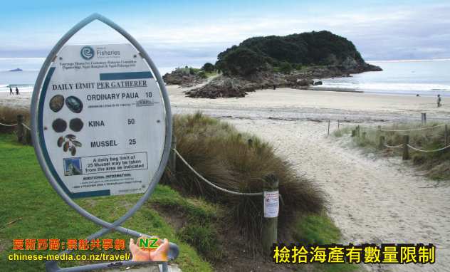 Tauranga 陶朗加 Mt Maunganui Beach 新西蘭最佳海灘 Moturiki Island