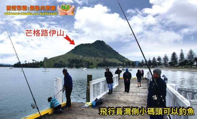 Tauranga 陶朗加 Mt Maunganui Beach 新西蘭最佳海灘 Moturiki Island