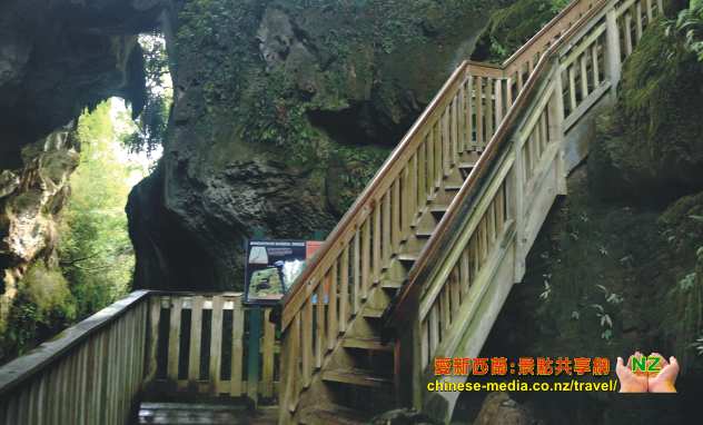 Mangapohue Natural Bridge 天然石灰岩穴拱橋  Marokopa Falls  Waitomo