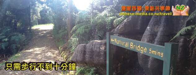 Mangapohue Natural Bridge 天然石灰岩穴拱橋  Marokopa Falls  Waitomo