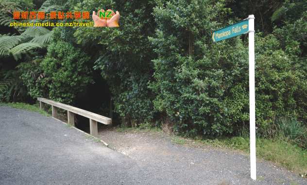 Te Anga Marokopa Falls 馬羅考帕瀑布