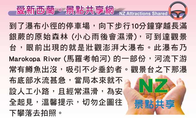 Te Anga Marokopa Falls 馬羅考帕瀑布