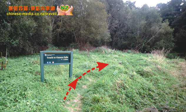 Te Kuiti  Omaru Falls 奧麻胡瀑布