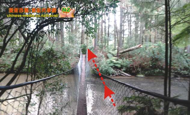 Te Kuiti  Omaru Falls 奧麻胡瀑布