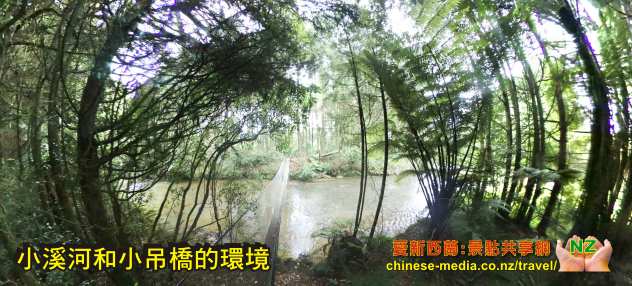 Te Kuiti  Omaru Falls 奧麻胡瀑布