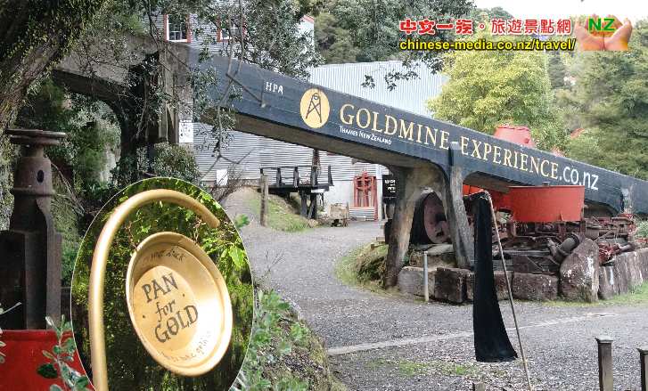 Goldmine Experience Goldmine Thames 泰晤士鎮 金礦洞場