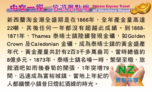 泰晤士鎮 Coromandel 科羅曼多 Thames Historical Museum 博物館 跳蚤市場