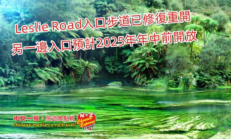 Tirau 蒂蕾 Putaruru Te Waihou 河上 Blue Spring 藍色清泉