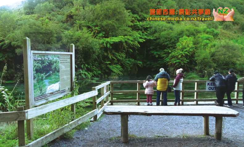 Tirau 蒂蕾 Putaruru Te Waihou 河上 Blue Spring 藍色清泉