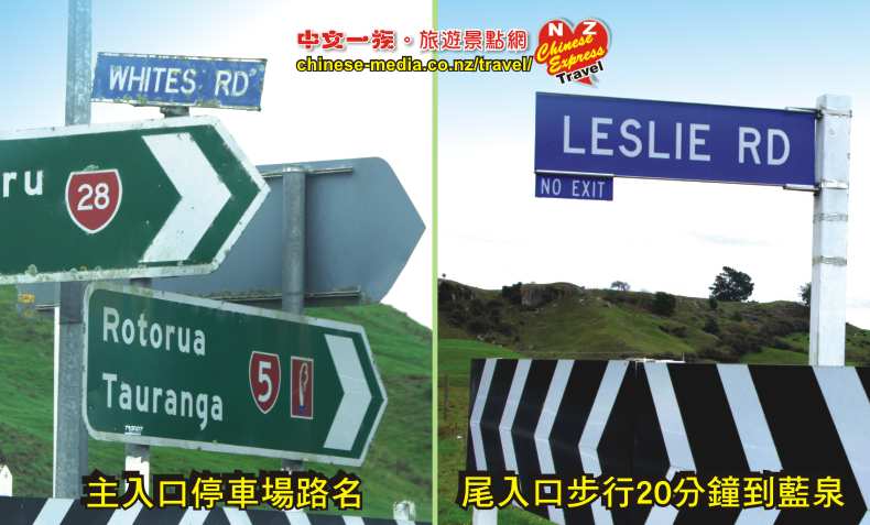 Tirau 蒂蕾 Putaruru Te Waihou 河上 Blue Spring 藍色清泉