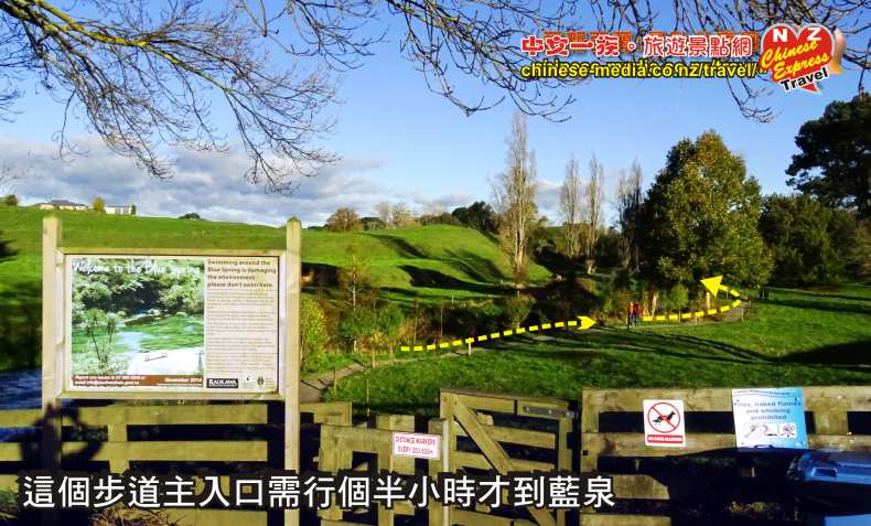 Tirau 蒂蕾 Putaruru Te Waihou 河上 Blue Spring 藍色清泉
