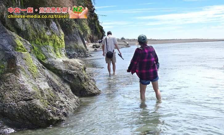 Tongaporutu 東加里普魯圖 Three Sisters Rocks 三姐妹 Elephant Rock 大象岩