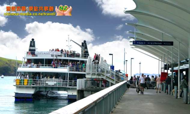 Waiheke 懷希基島 激流島 Sealink Ferry 人車兩載渡輪