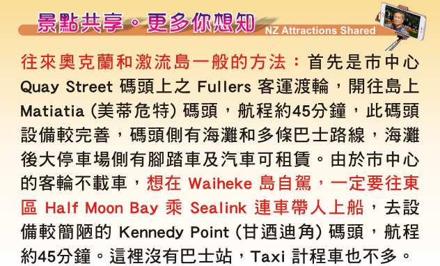 Waiheke 懷希基島 激流島 Sealink Ferry 人車兩載渡輪