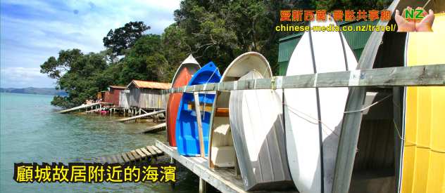 Waiheke 懷希基島 激流島 Sealink Ferry 人車兩載渡輪
