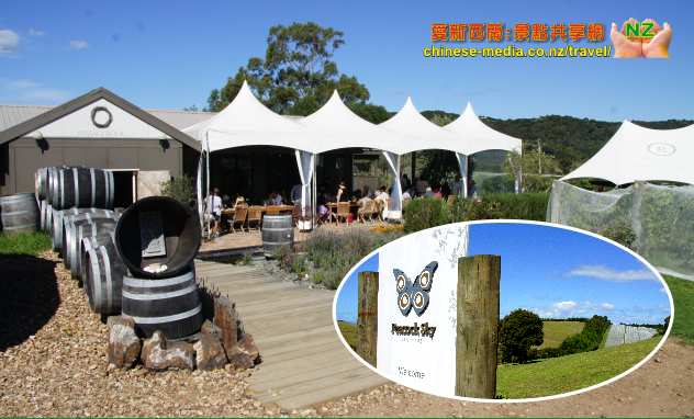 Waiheke Island 懷希基島激流島 品酒 試葡萄酒 Tasting