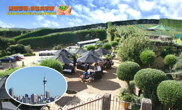 Waiheke Island 懷希基島激流島 品酒 試葡萄酒 Tasting