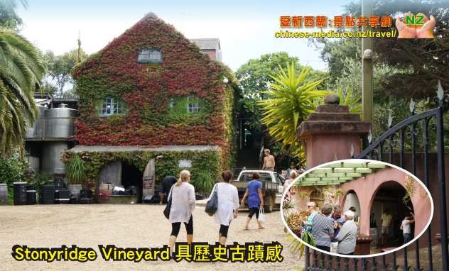 Waiheke Island 懷希基島激流島 品酒 試葡萄酒 Tasting