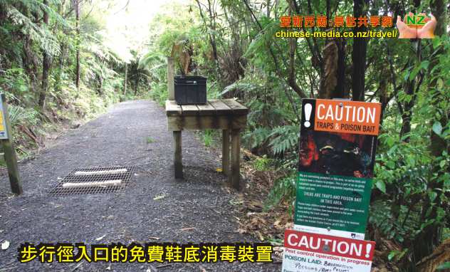 Waitakere Arataki Visitor Centre Arataki Nature Trail 阿拉塔基遊客資訊中心 自然教育徑