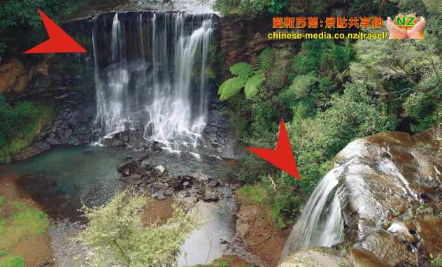 Mokoroa Falls Houheria Stream Falls 莫酷旺卡情侶瀑布 胡希維亞溪流瀑布
