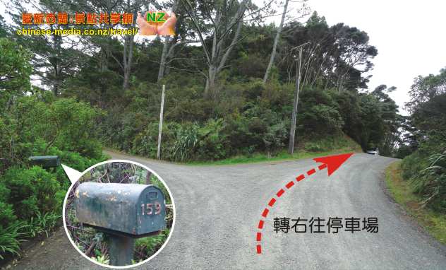 Mokoroa Falls Houheria Stream Falls 莫酷旺卡情侶瀑布 胡希維亞溪流瀑布