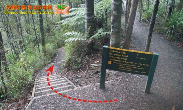 Mokoroa Falls Houheria Stream Falls 莫酷旺卡情侶瀑布 胡希維亞溪流瀑布