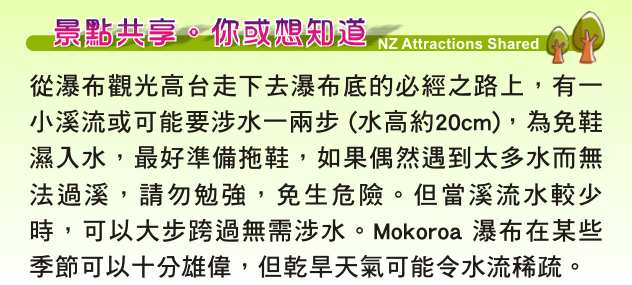 Mokoroa Falls Houheria Stream Falls 莫酷旺卡情侶瀑布 胡希維亞溪流瀑布