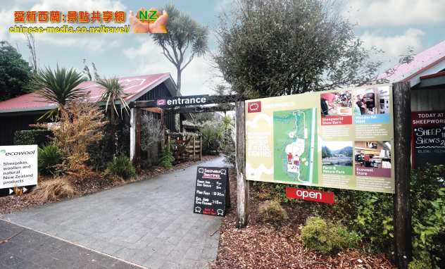 Warkworth, Sheep World 綿羊世界剪羊毛