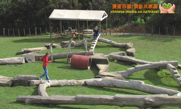 Warkworth, Sheep World 綿羊世界剪羊毛