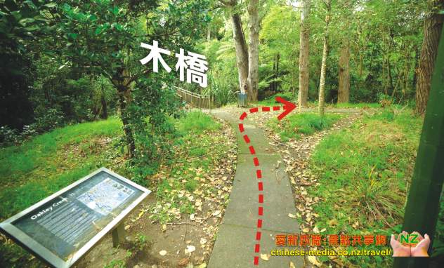 Oakley Creek Falls 奧克利溪流瀑布