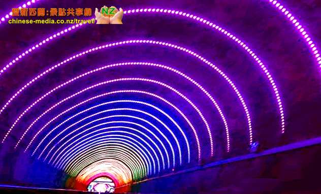 Wellington Cable Car &  Carter Observatory 山頂纜車 天文台