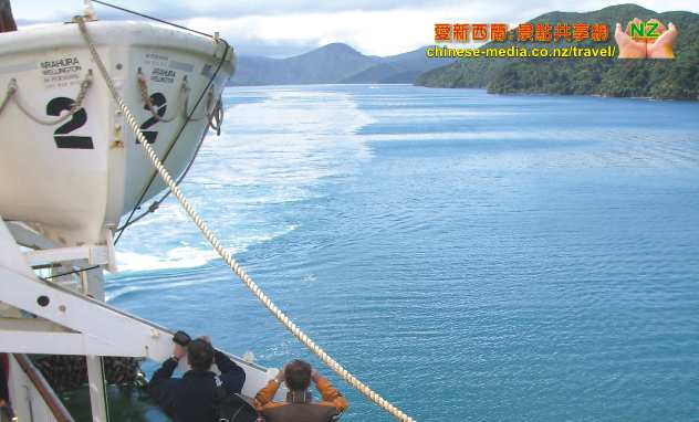 Wellington, Interislander Ferry 橫渡南北島海峽渡輪