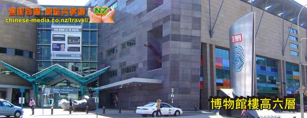 Wellington Te Papa Museum 威靈頓 蒂帕帕 新西蘭國立博物館