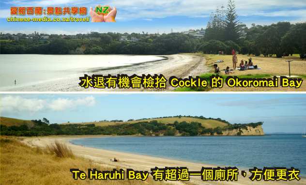 Whangaparaoa 旺阿帕勞阿 Shakespeare Park 莎士比亞公園  Okoromai Bay Te Haruhi Bay 孔雀 檢拾 Cockle 蛤蜊