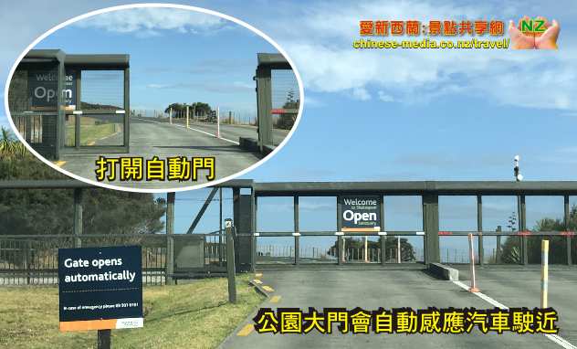 Whangaparaoa 旺阿帕勞阿 Shakespeare Park 莎士比亞公園  Okoromai Bay Te Haruhi Bay 孔雀 檢拾 Cockle 蛤蜊