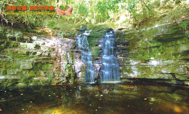 Shakespeare Park 莎士比亞公園 Whangaparaoa Waterfall Gully  小瀑布步道