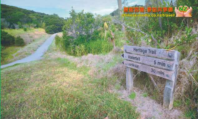 Shakespeare Park 莎士比亞公園 Whangaparaoa Waterfall Gully  小瀑布步道