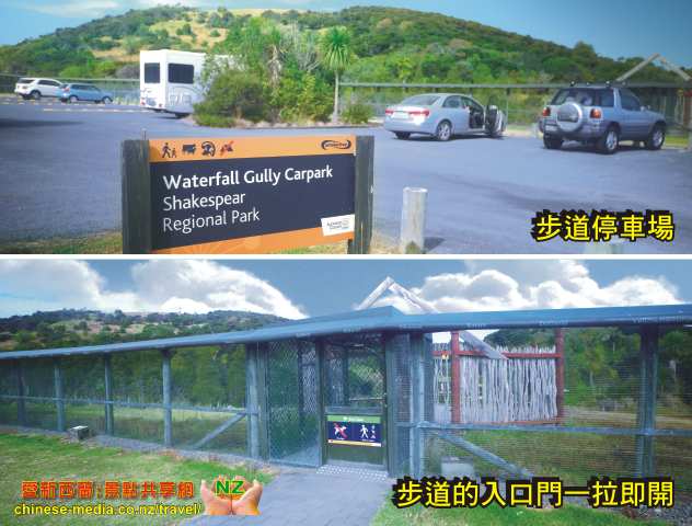 Shakespeare Park 莎士比亞公園 Whangaparaoa Waterfall Gully  小瀑布步道