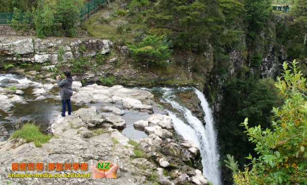 Whangarei Falls 方加雷新西蘭最上鏡瀑布