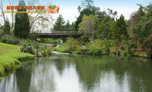 Whangarei Falls 方加雷新西蘭最上鏡瀑布