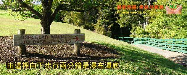 Whangarei Falls 方加雷新西蘭最上鏡瀑布