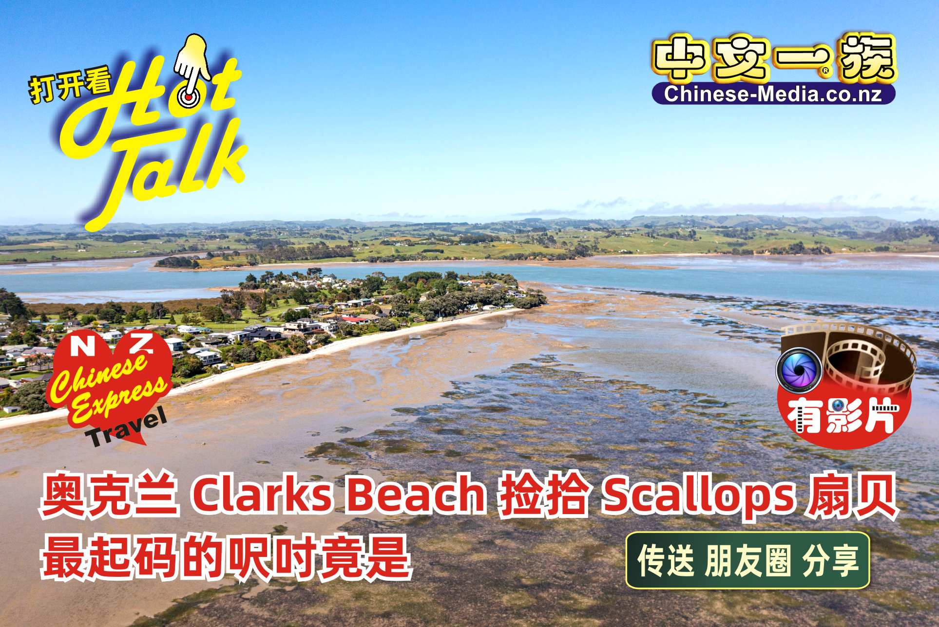 Clarks Beach Scallops Waiuku River 克拉克斯海滩  中文一族傳媒新西蘭旅遊景點