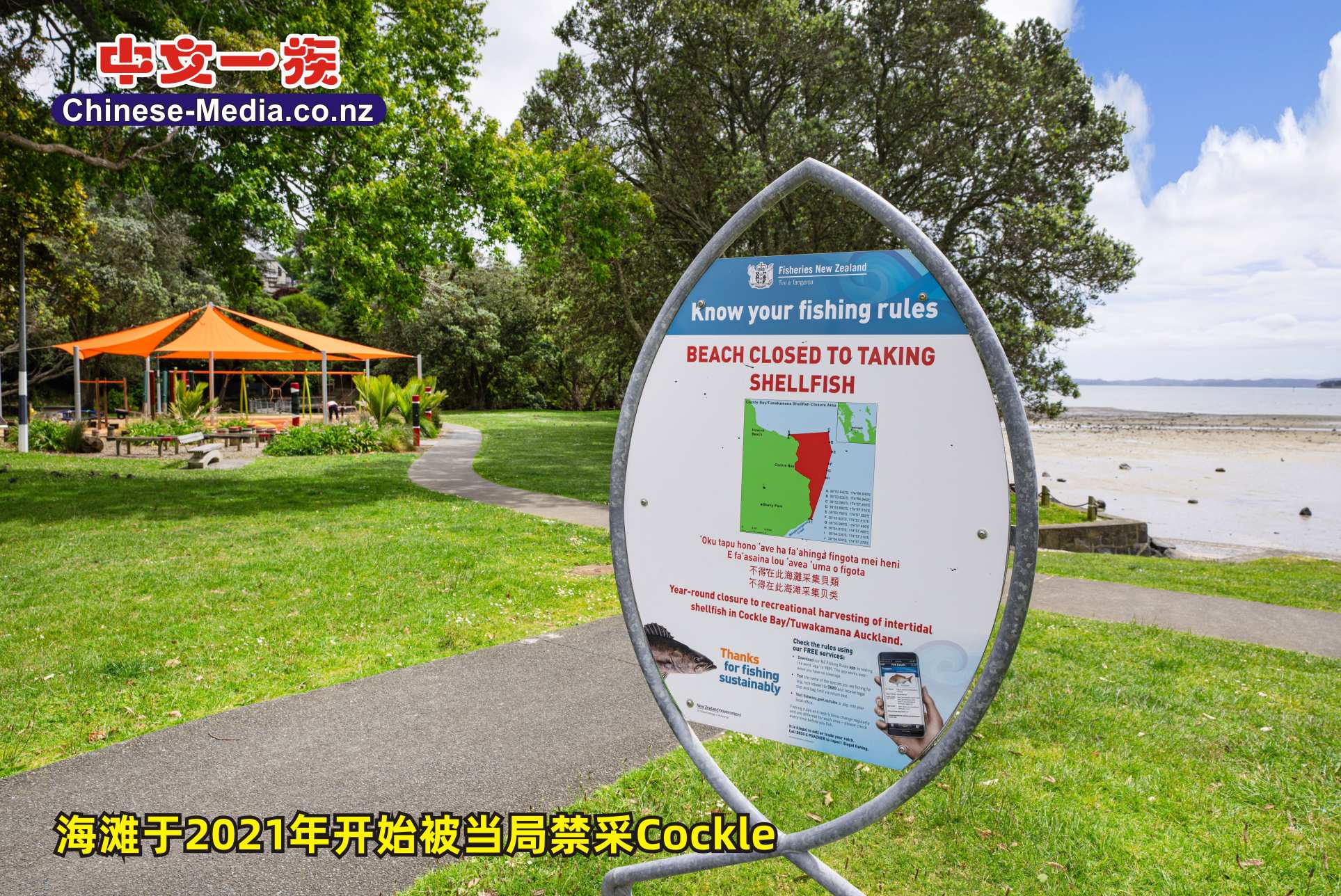 Cockle Bay, 科克爾灣, Shelly Beach Parade    中文一族傳媒新西蘭旅遊景點