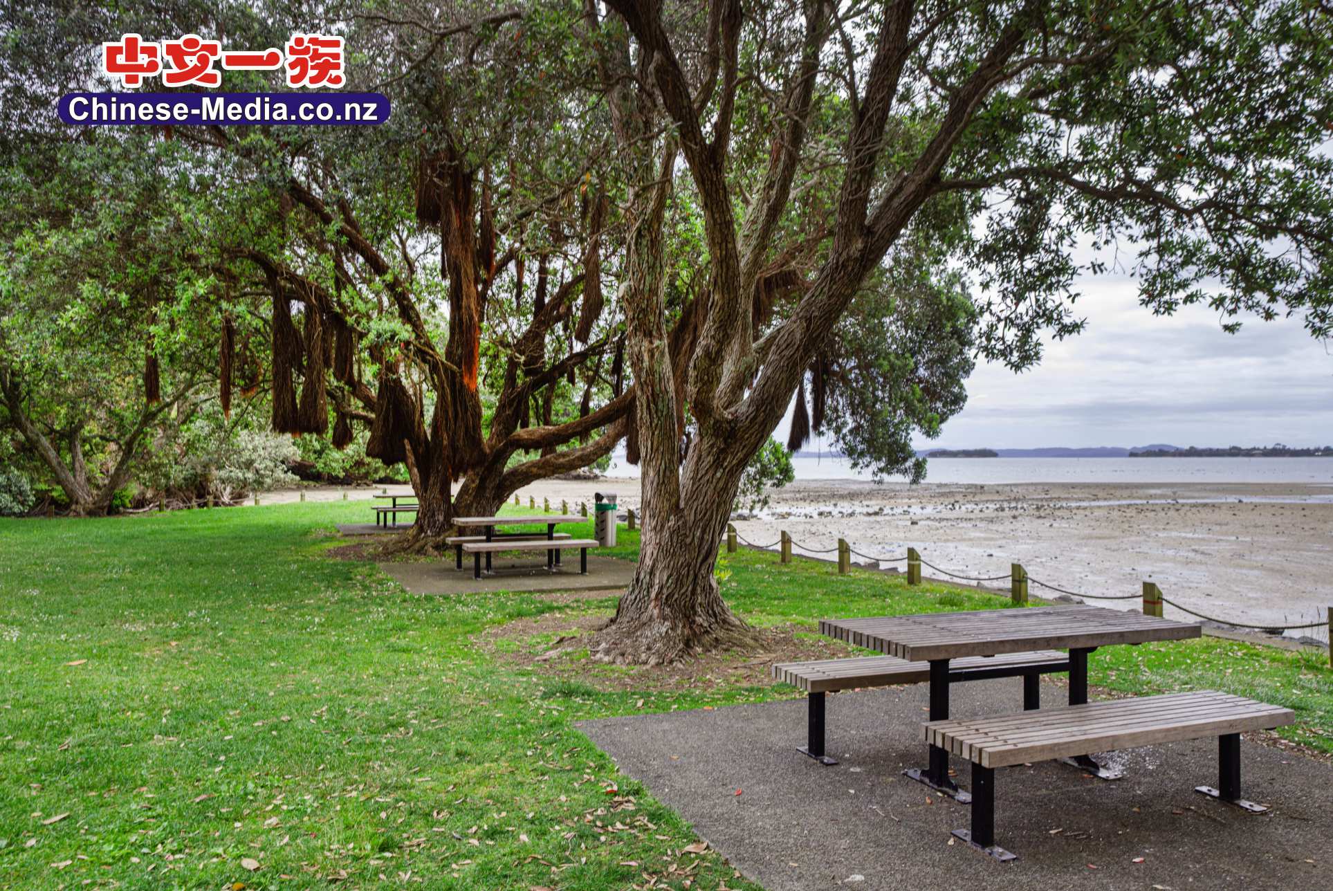 Cockle Bay, 科克爾灣, Shelly Beach Parade    中文一族傳媒新西蘭旅遊景點